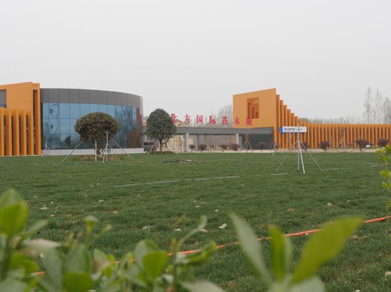 苗木产业在惠民县的发展现状与未来展望